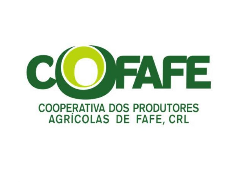 PARA DIVULGAÇÃO: COFAFE